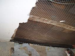 coolross 2455.jpg